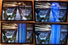 all5.jpg all5.jpg