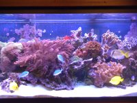 IMG_0651.JPG