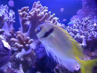 IMG_0652.JPG