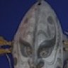 1GreyDad